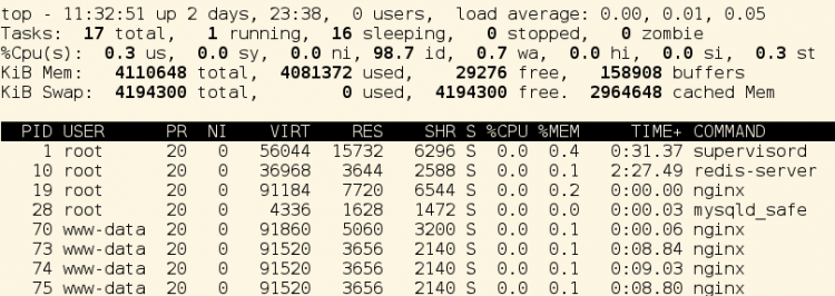 how-to-set-fix-the-term-environment-variable-in-docker-mimastech-linux-technical-blog-services